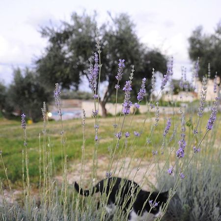 Kivotos Villa Private Pool Maroulás エクステリア 写真