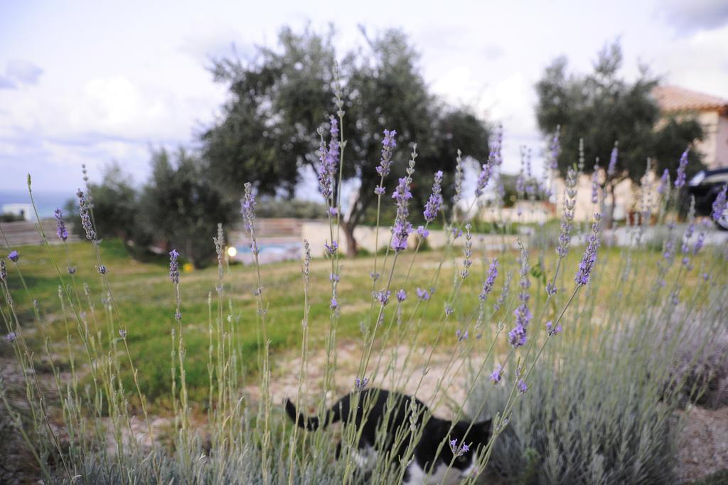 Kivotos Villa Private Pool Maroulás エクステリア 写真